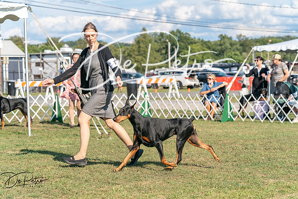 20250828-DSC07630