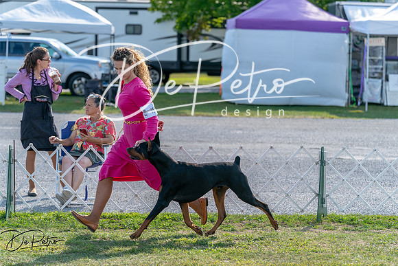 20250828-DSC07627