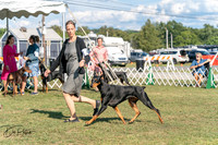20250828-DSC07634