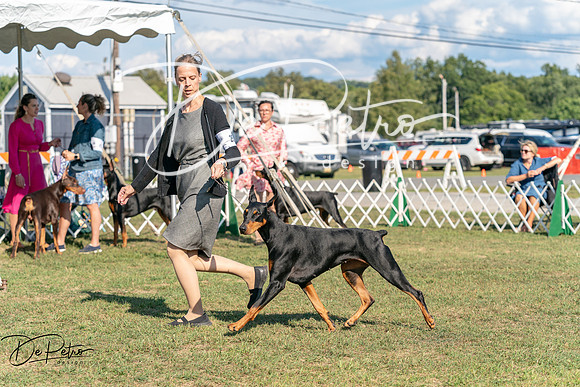 20250828-DSC07634