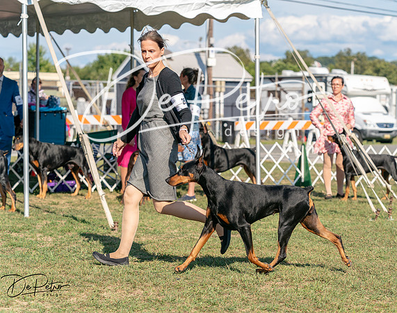 20250828-DSC07639-Edit