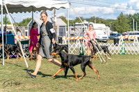 20250828-DSC07638