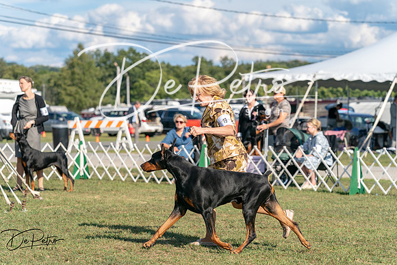 20250828-DSC07667