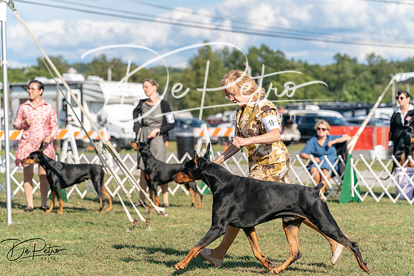 20250828-DSC07672