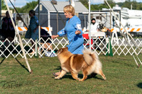 20250828-DSC07737