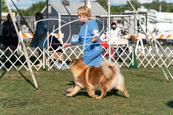 20250828-DSC07737