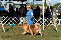 20250828-DSC07746