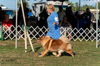 20250828-DSC07751