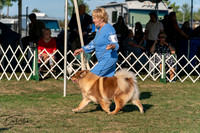20250828-DSC07755