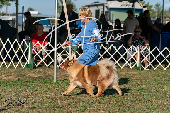20250828-DSC07755