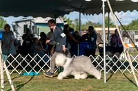 20250828-DSC07779