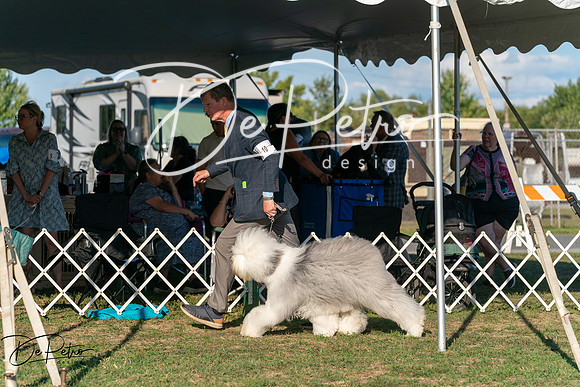20250828-DSC07779