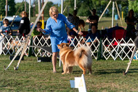 20250828-DSC07799