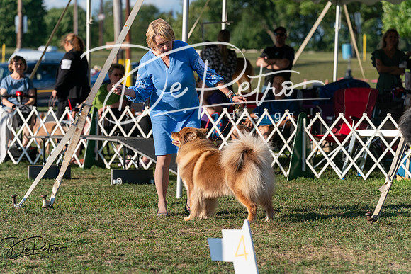 20250828-DSC07799