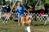 20250828-DSC07800