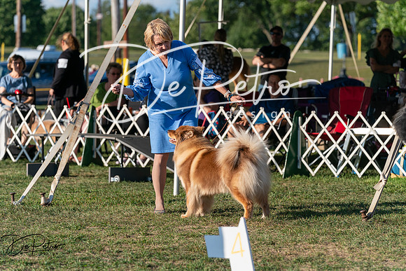 20250828-DSC07800