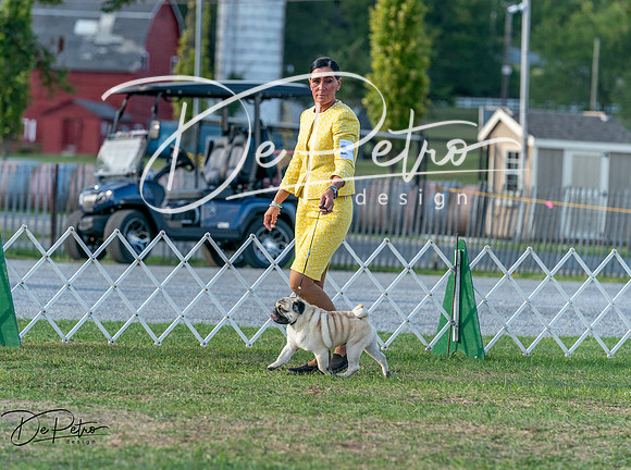 20250828-DSC07842