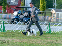 20250828-DSC07855