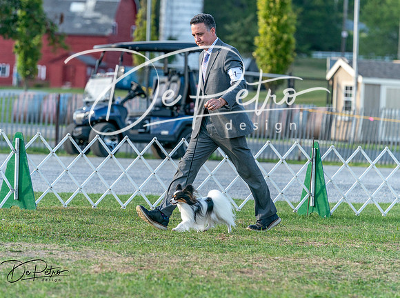 20250828-DSC07855