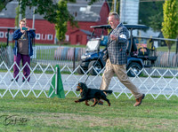 20250828-DSC07866