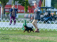 20250828-DSC07870