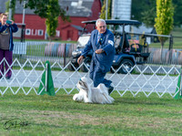 20250828-DSC07875