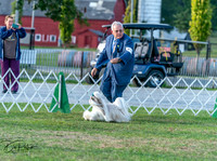 20250828-DSC07876
