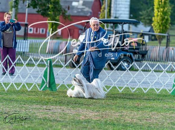 20250828-DSC07876