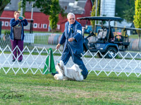 20250828-DSC07879