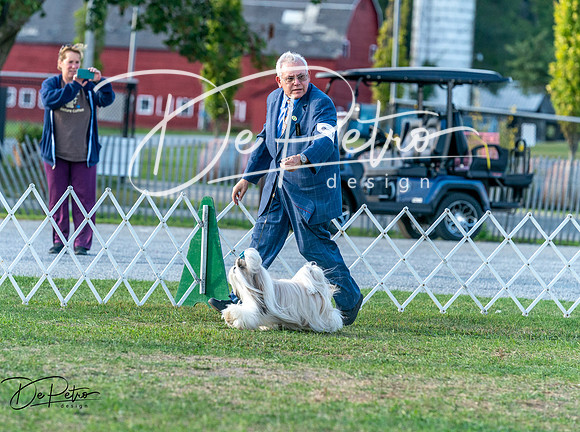 20250828-DSC07879