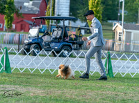 20250828-DSC07888