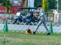 20250828-DSC07890