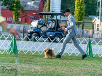 20250828-DSC07891
