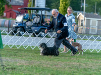 20250828-DSC07906