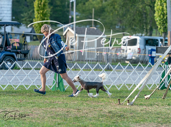 20250828-DSC07809