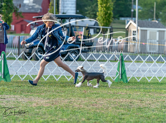 20250828-DSC07818