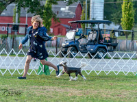 20250828-DSC07826