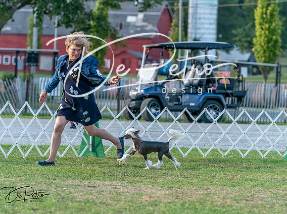 20250828-DSC07826