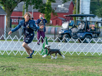 20250828-DSC07829