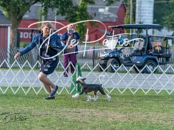 20250828-DSC07829