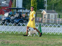20250828-DSC07839