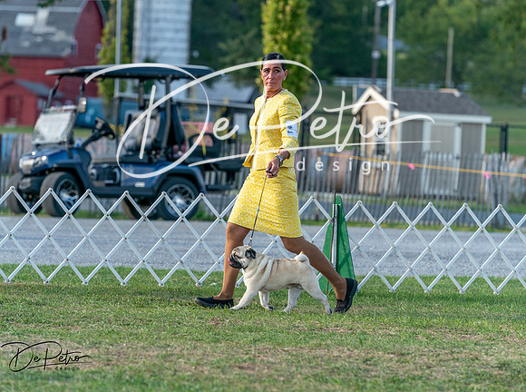 20250828-DSC07839