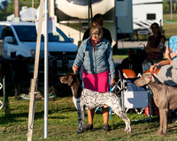 20250828-DSC08526