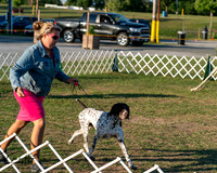 20250828-DSC08585