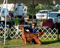 20250828-DSC08531