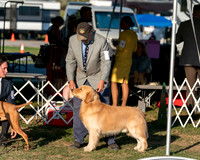 20250828-DSC08539