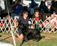 20250828-DSC08544