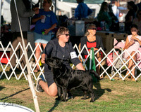 20250828-DSC08545