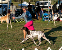 20250828-DSC08560