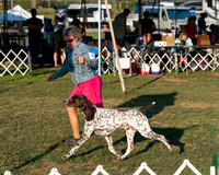 20250828-DSC08556